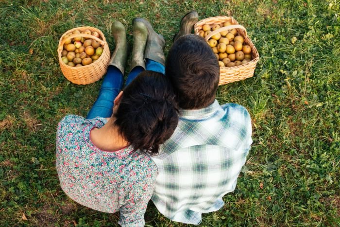 Cooler Weather Date Ideas